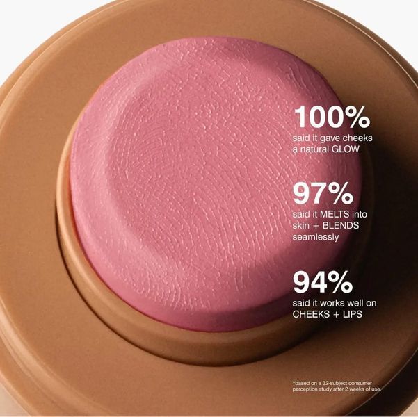 Кремовые румяна RHODE Pocket Blush Buildable Hydrating Cream Blush, оттенок Piggy 5.3 гр 2868333757 фото